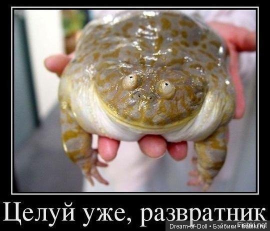 Ты замуж то не вышла — Интересное и необычное: фотоподборки