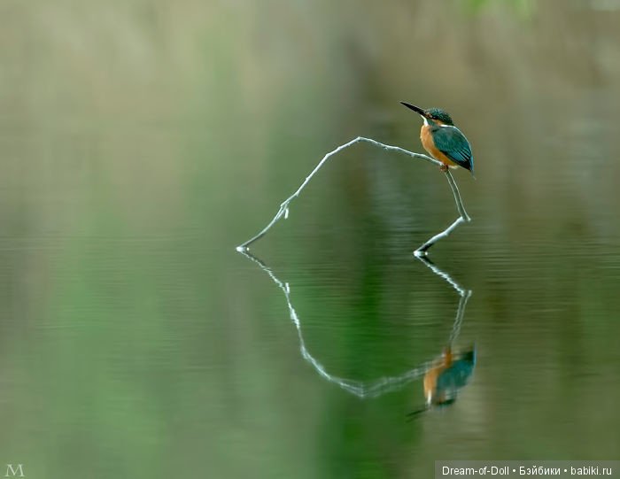 Отражения — Интересное и необычное: фотоподборки