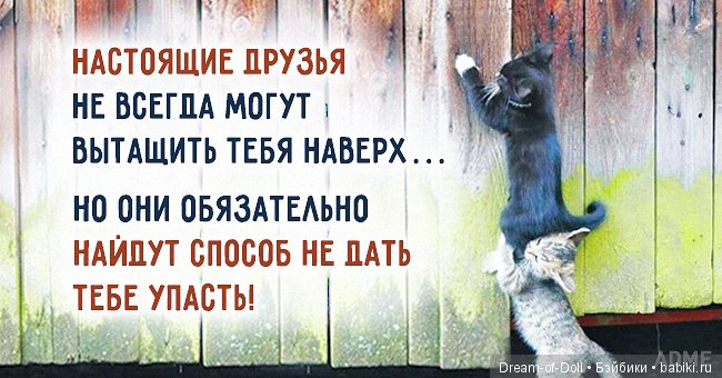 Солнечные открытки — Интересное обо всем: поздравления