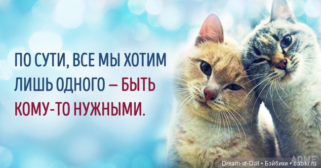 Солнечные открытки — Интересное обо всем: поздравления