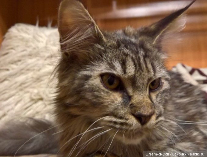 Старая школьная тетрадка — Интересное обо всем: поздравления