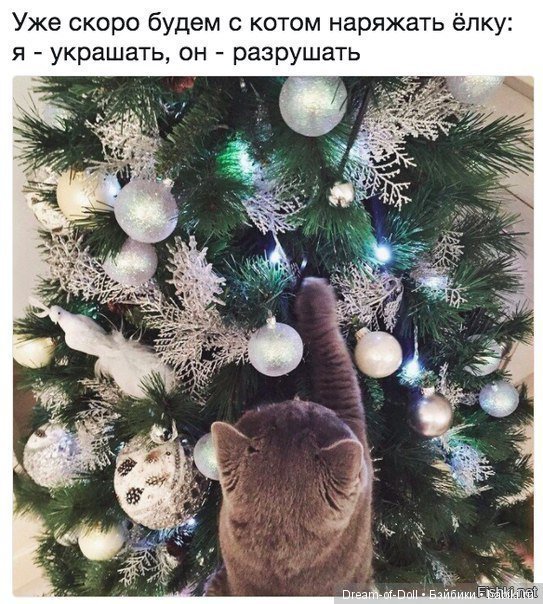 Пока мы смеемся - с нами все в порядке