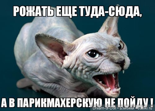 Пока мы смеемся - с нами все в порядке