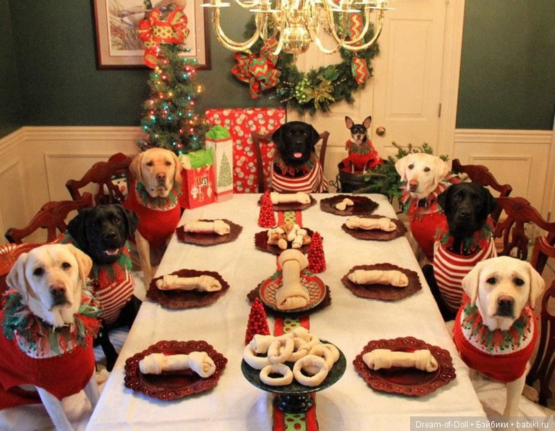 Пока мы смеемся - с нами все в порядке (фото 2)