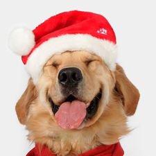 Пока мы смеемся -  с нами все в порядке