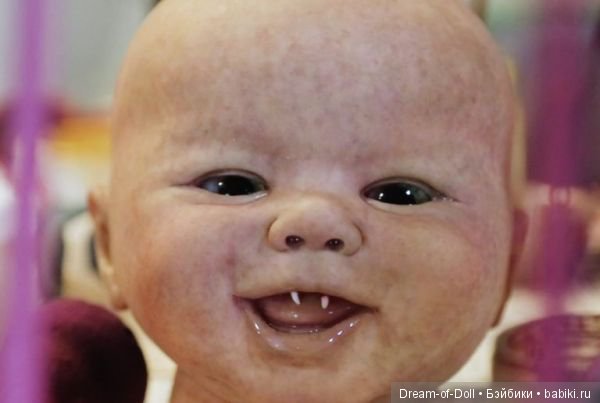 Малыши из Оклахомы Не смотри на ночь) (фото 5)