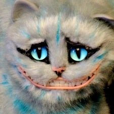 Чеширский кот