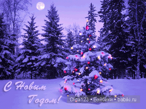 Мои любимые Паолочки встречают новеньких и отмечают Новый 2016 Год и Рождество