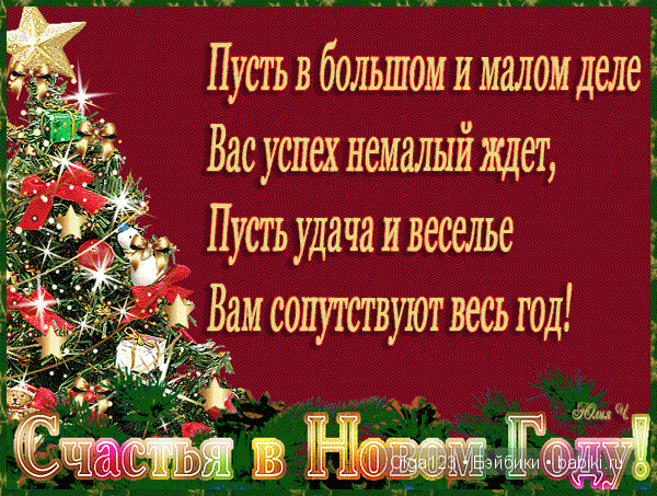 Мои любимые Паолочки встречают новеньких и отмечают Новый 2016 Год и Рождество