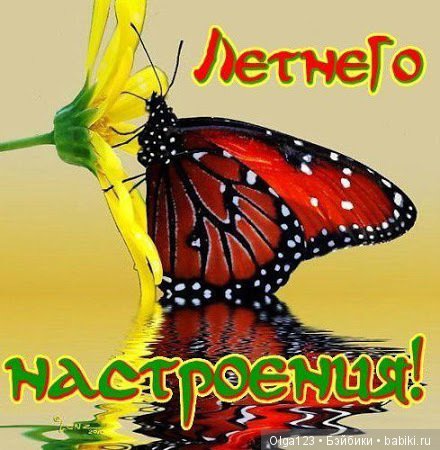 С первым днём лета, с днём защиты детей поздравляет моя очаровательная Мария от Vidal Rojas Muñecas