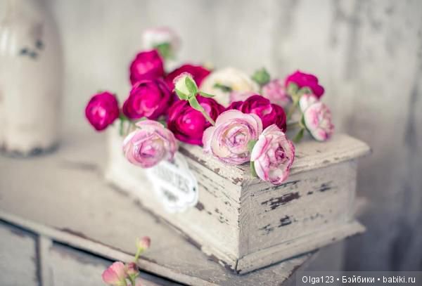 Мои драгоценные Плюшечки-Максим и Марина! 6 лет вместе с вами (фото 3)