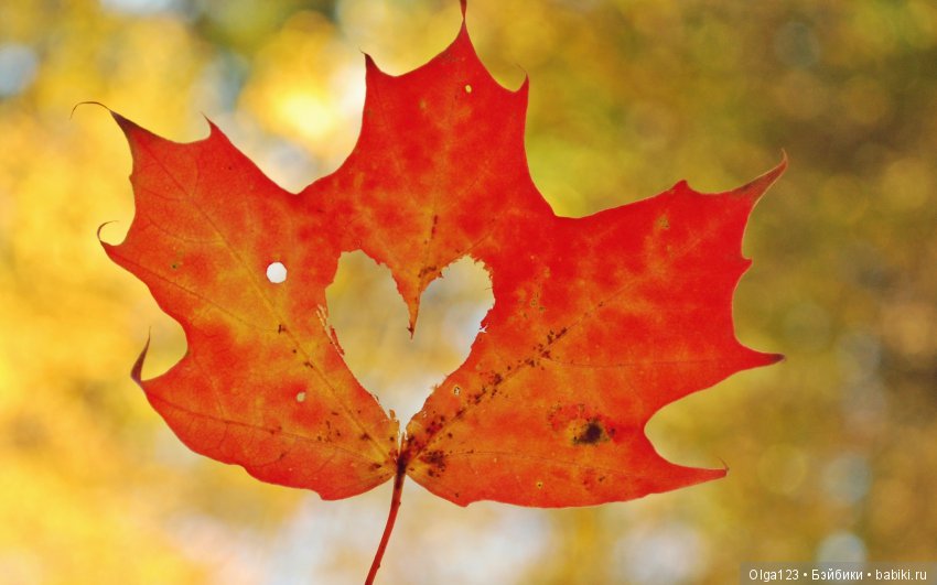 Две очаровательные сестрички Бэтти и Нани LAMAGIK (фото 2)