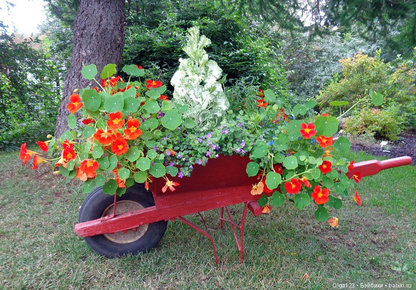 Две очаровательные сестрички Бэтти и Нани LAMAGIK