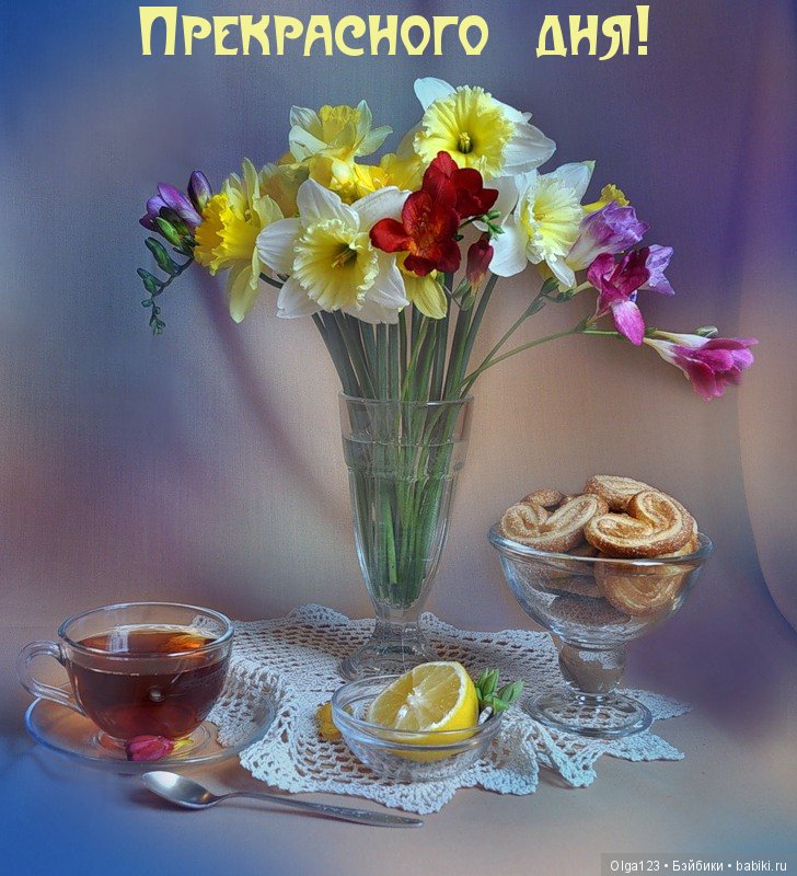 Мои любимые Плюшечки - Максим и Марина в новых нарядах