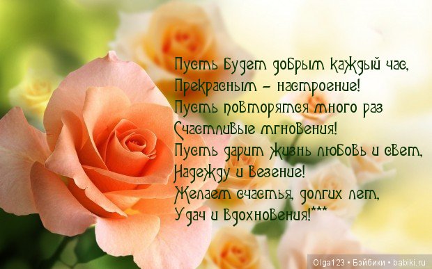 Мои любимые Плюшечки - Максим и Марина в новых нарядах (фото 3)