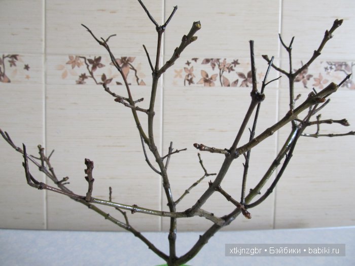 Идея подарка для любимого