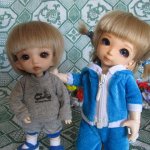 Дрессировщики