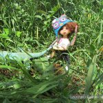 P.S. или Кто приехал с Вовкой?