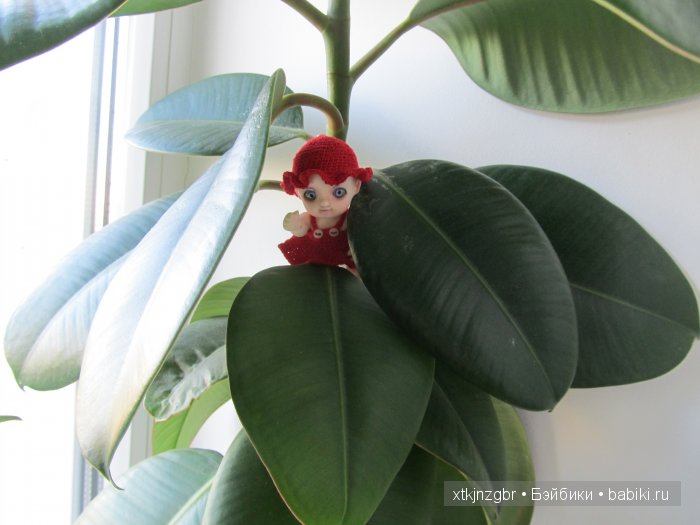 Откуда берутся дети — Коллекции кукол BJD (БЖД): фото витрин