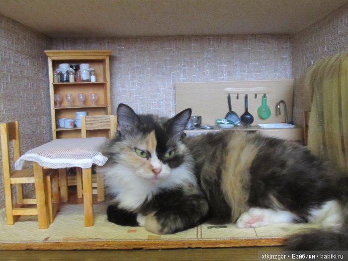 Однако за время пути Крошка смогла подрасти (фото 10)