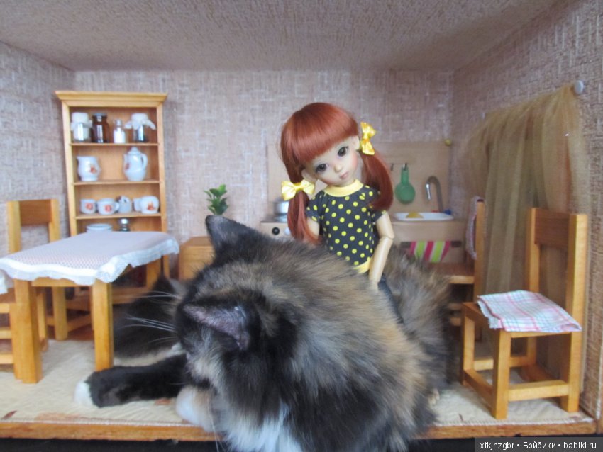 Я приехал — Фотоистории с куклами BJD (БЖД): сериалы (фото 7)