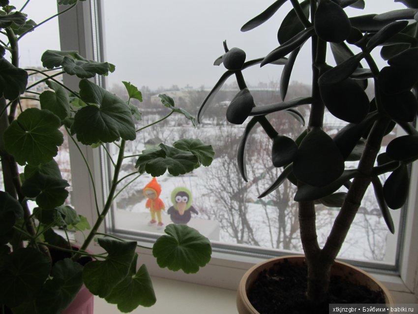 Почти аист прилетел — Фотоистории с куклами BJD (БЖД): сериалы