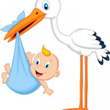 Почти аист прилетел