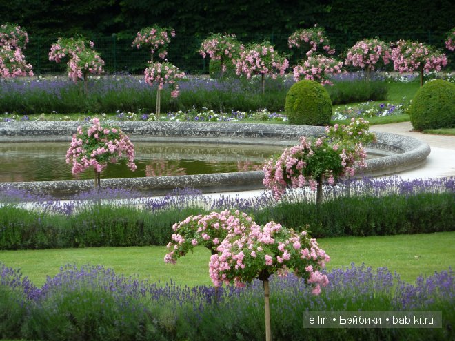 Шенонсо - замок трех королев в долине Луары (фото 5)