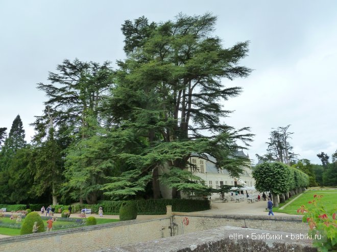 Шенонсо - замок трех королев в долине Луары (фото 4)