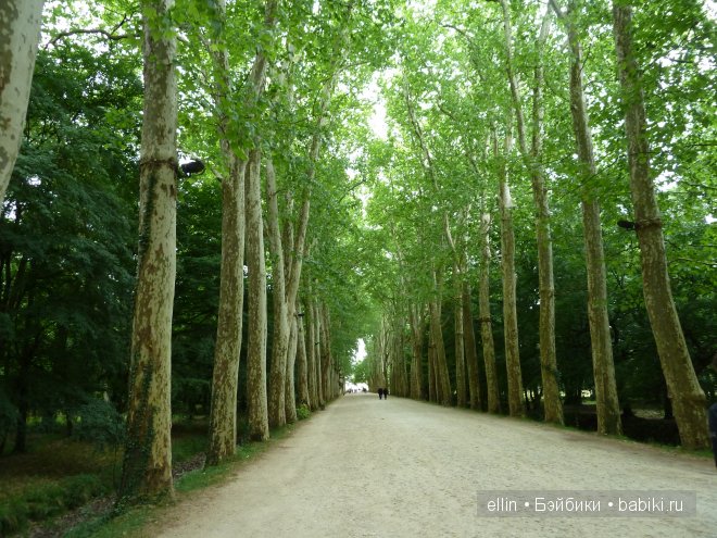 Шенонсо - замок трех королев в долине Луары