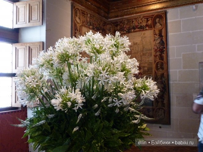 Шенонсо - замок трех королев в долине Луары