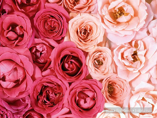 Куклы-эльфы от Susan Krey (2012 год) (фото 5)