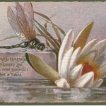 Поэтические акварели Любови Эндауровой