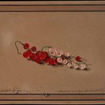 Удивительные акварели графа Федора Толстого