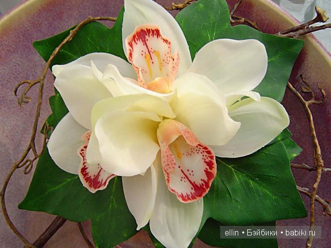 Орхидеи | Бэйбики Орхидеи — Интересное и необычное: фотоподборки (фото 4)