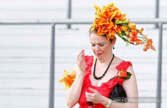 Дамские штучки. Шляпки | Бэйбики Дамские штучки. Шляпки — Интересное и необычное: фотоподборки