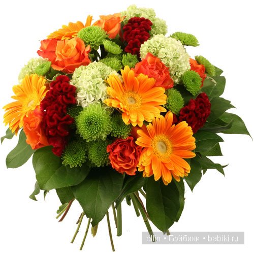 Куклы тоже любят шляпки — Домашние коллекции кукол: фото собраний