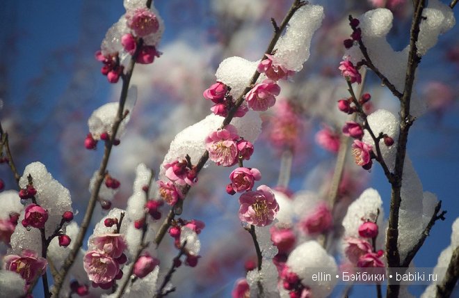 Удивительные фотографии со всего света