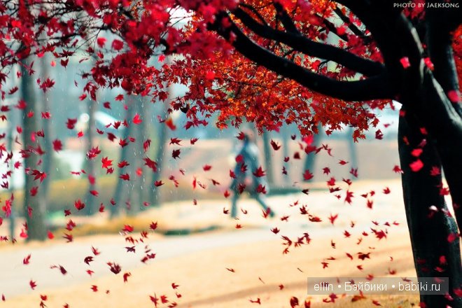 Удивительные фотографии со всего света