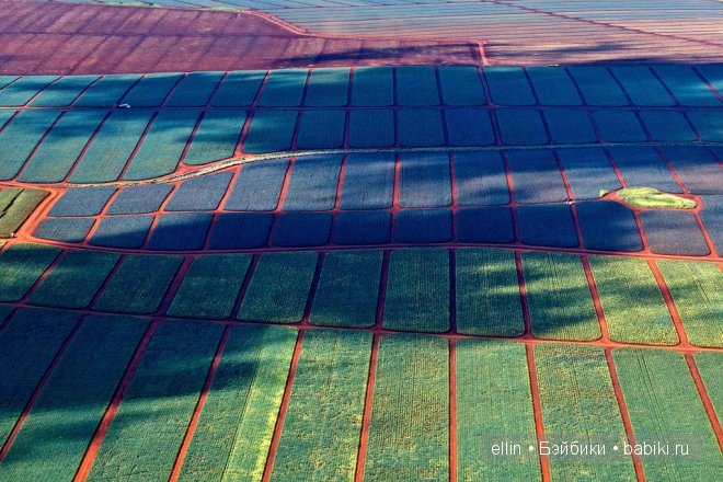 Удивительные фотографии со всего света (фото 9)