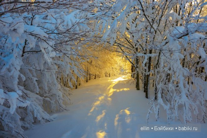 Удивительные фотографии со всего света