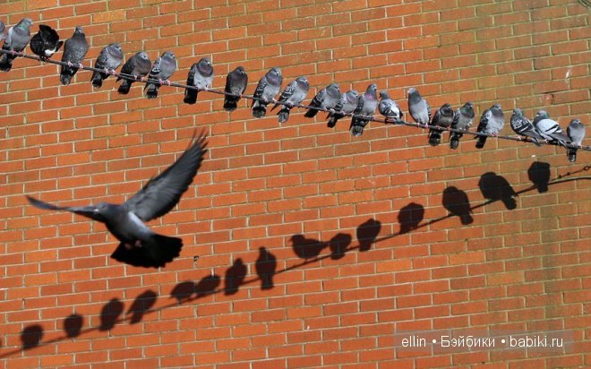 Удивительные фотографии со всего света