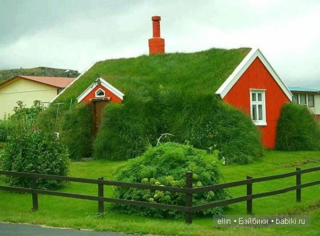 Удивительные фотографии со всего света