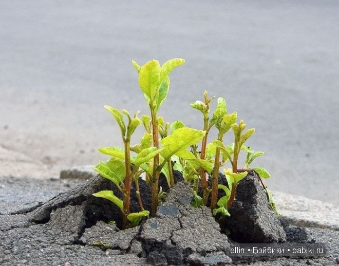 Удивительные фотографии со всего света