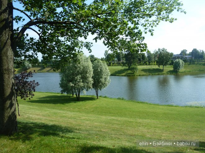 Константиновский дворец в Стрельне (фото 3)