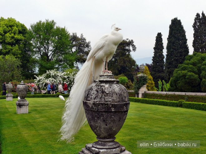 Сказочный итальянский остров Isola Bella