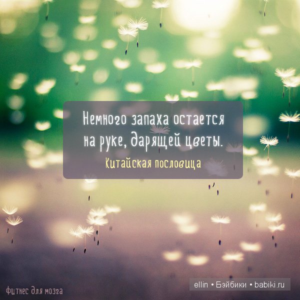 "Слабые мстят, сильные прощают, счастливые забывают". В мире мудрых мыслей - 2 (фото 5)
