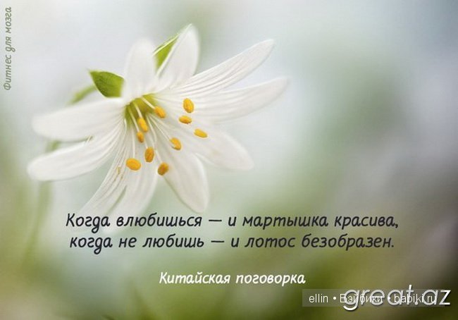 "Слабые мстят, сильные прощают, счастливые забывают". В мире мудрых мыслей - 2