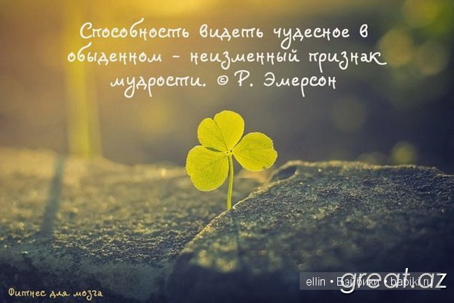 "Слабые мстят, сильные прощают, счастливые забывают". В мире мудрых мыслей - 2