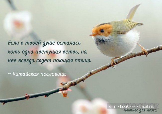 "Слабые мстят, сильные прощают, счастливые забывают". В мире мудрых мыслей - 2
